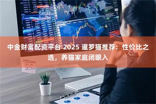 中金财富配资平台 2025 暹罗猫推荐：性价比之选，养猫家庭闭眼入